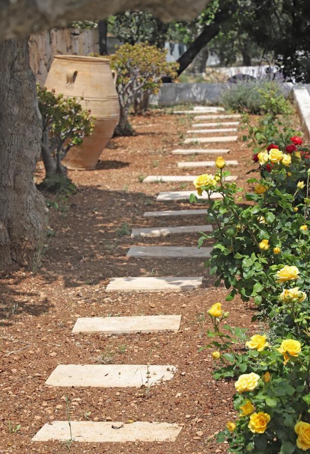 Amvikas Suites-Sitia Esterno foto