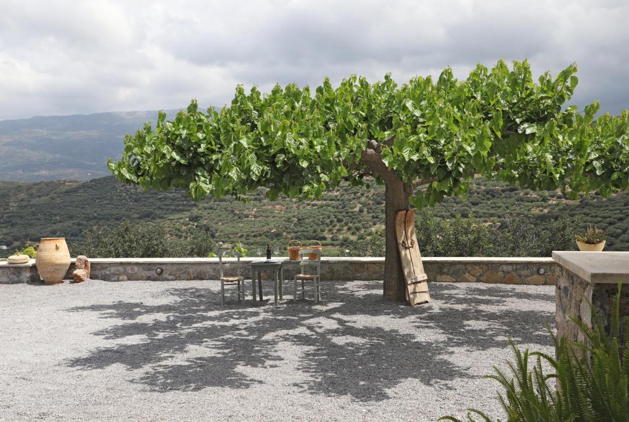 Amvikas Suites-Sitia Esterno foto