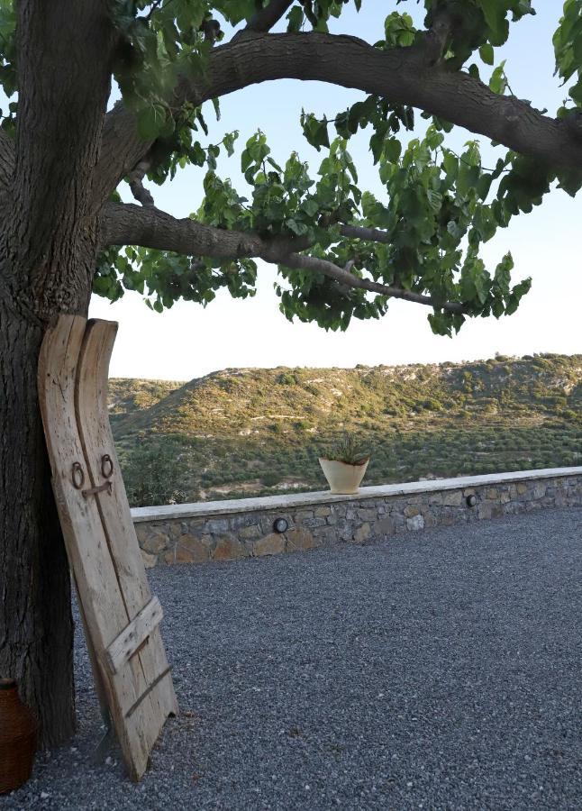 Amvikas Suites-Sitia Esterno foto