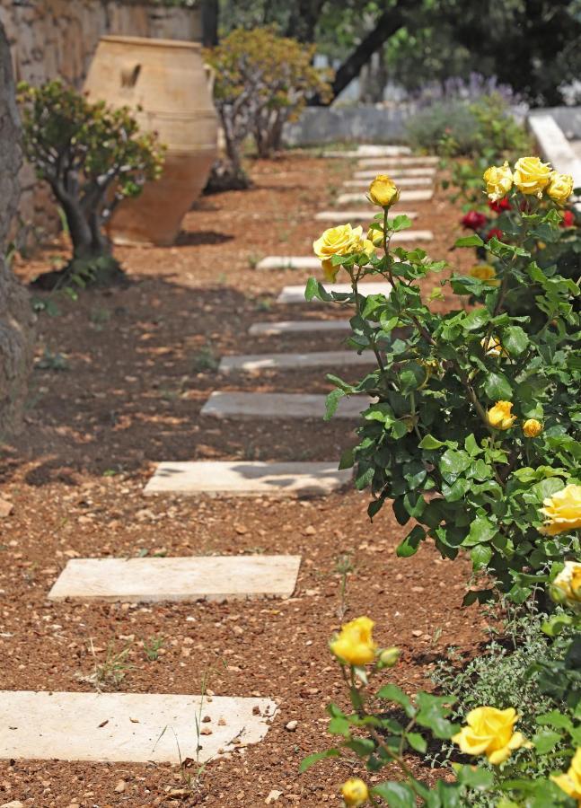 Amvikas Suites-Sitia Esterno foto