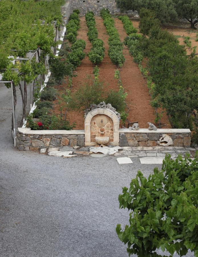 Amvikas Suites-Sitia Esterno foto